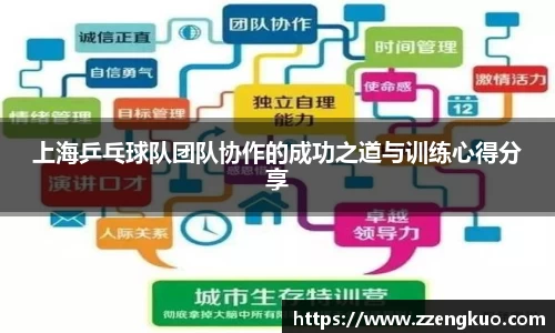 上海乒乓球队团队协作的成功之道与训练心得分享