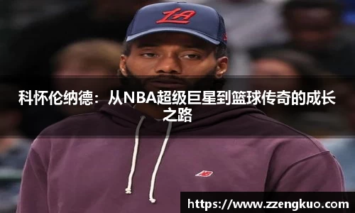 竞技宝官网